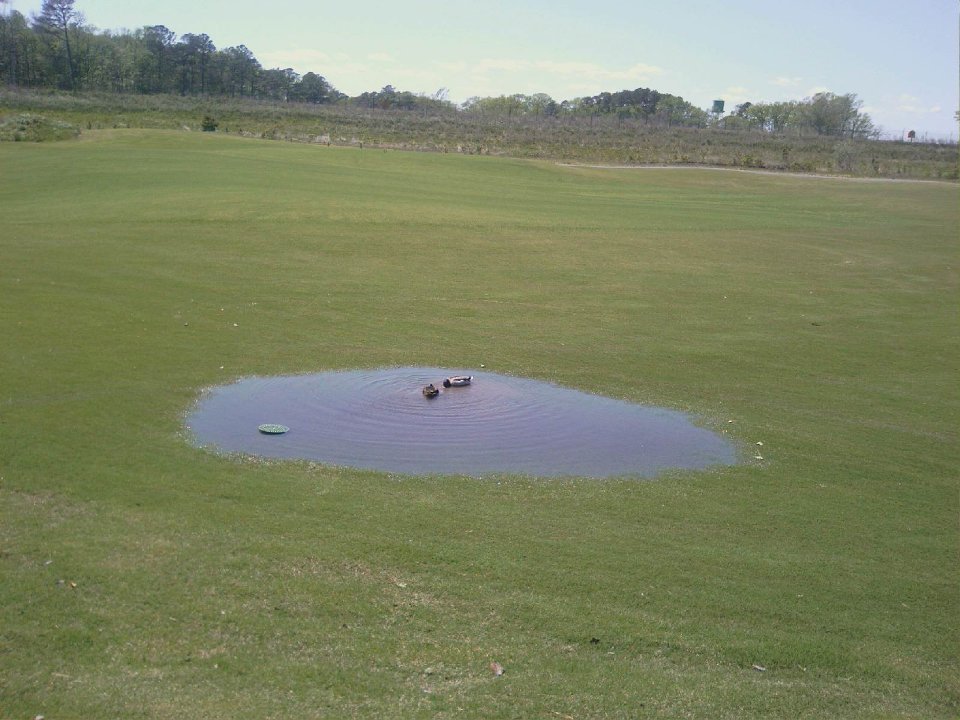 Berlin, MD: Ducks enjoyed lake made by nor'easter May 12 on GlenRiddle's hole #11 fairway, Man O' War course