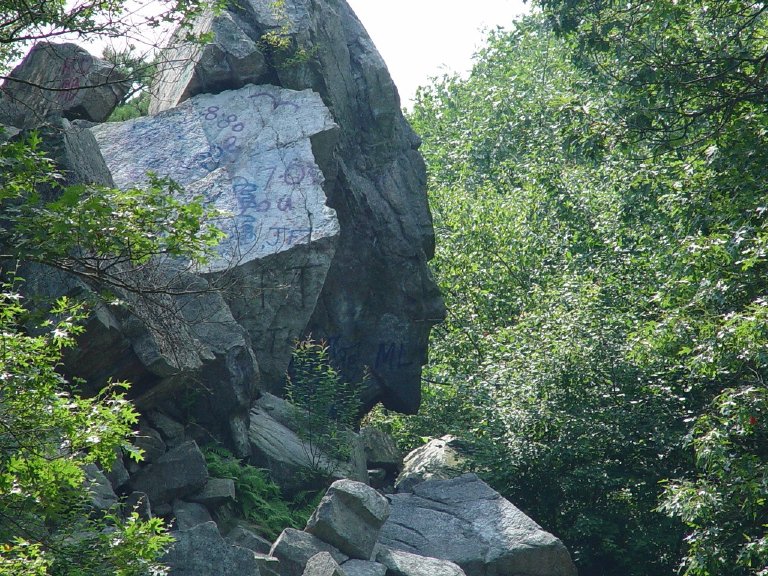 Freetown, MA: Profile rock (freetown forest)