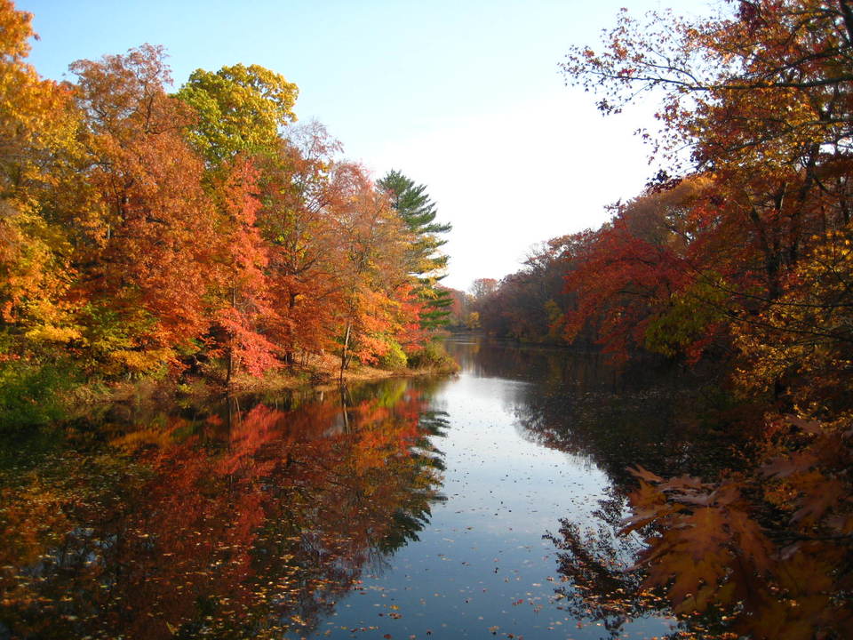 Laurel Springs, NJ: laure lake from the laurel rd. bridge,fall 2007
