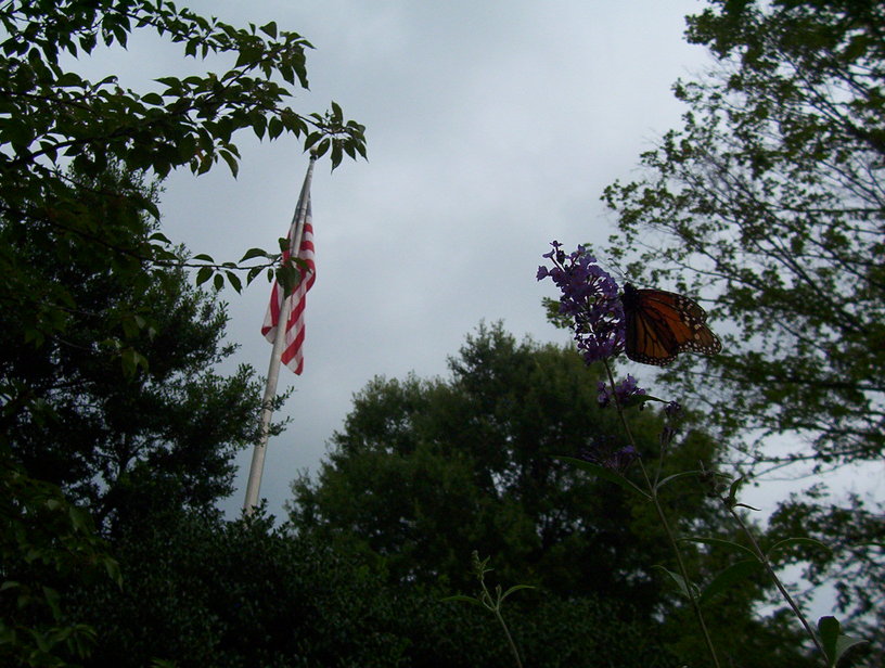 Kernersville, NC: through the dark skys the flag still waves at harmon park kernersville,nc