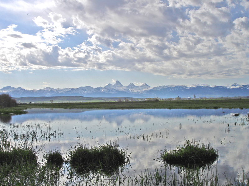 Driggs, ID: Reflection of the Tetons