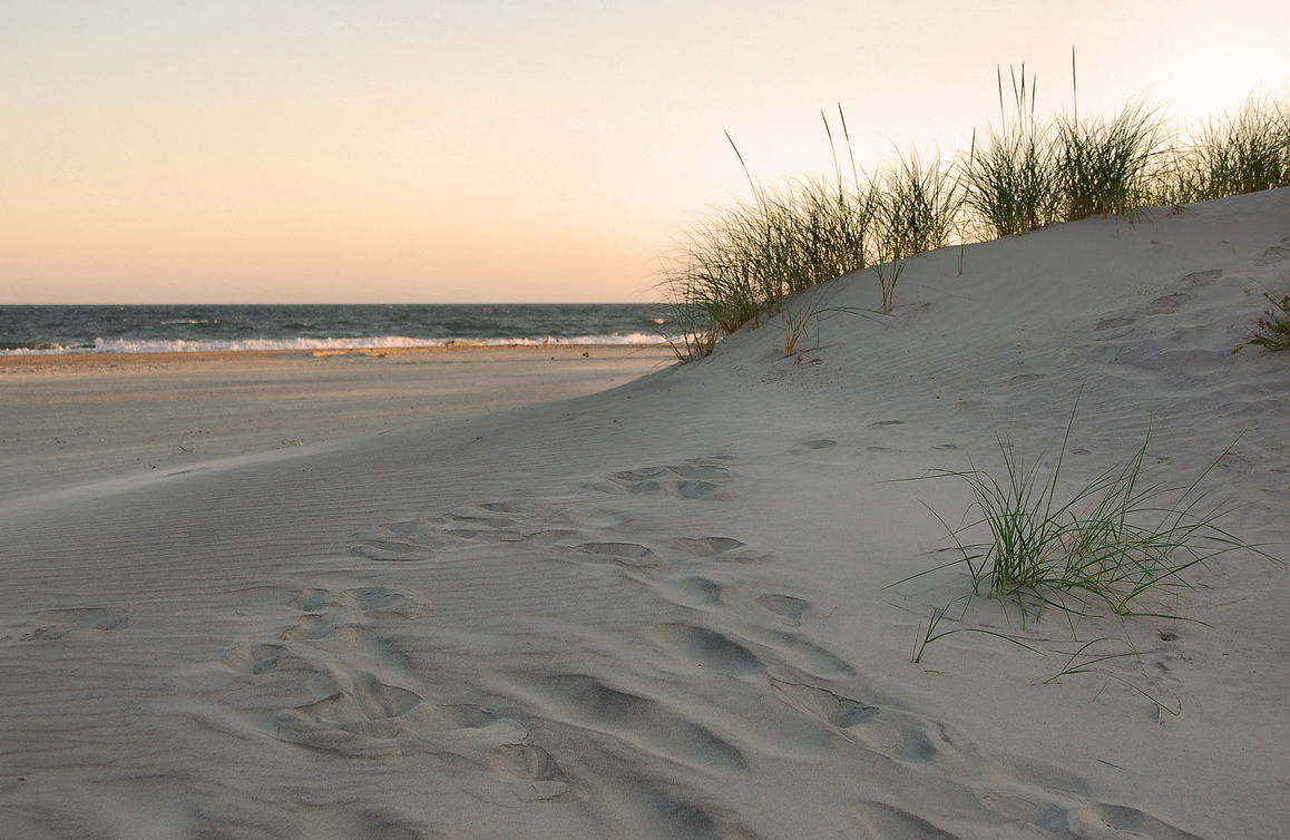 Atlantic City, NJ: Sand Dune Sunset