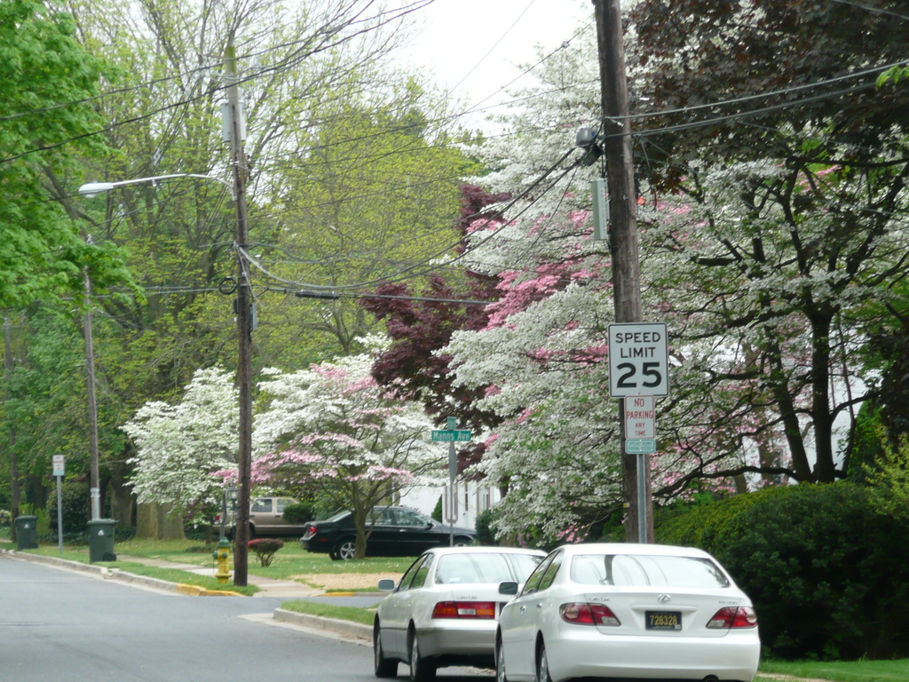 Newark, DE: Street of newark during Spring