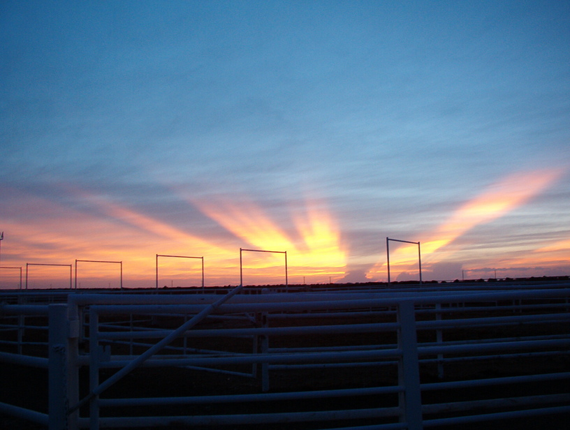 Pampa, TX: Sunrise at the feedlot