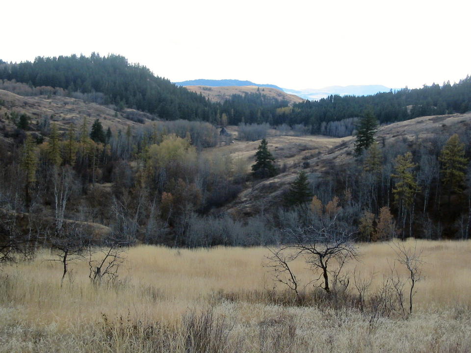 TonasketPine Creek, WA A Pine Creek homestead, Fall photo, picture