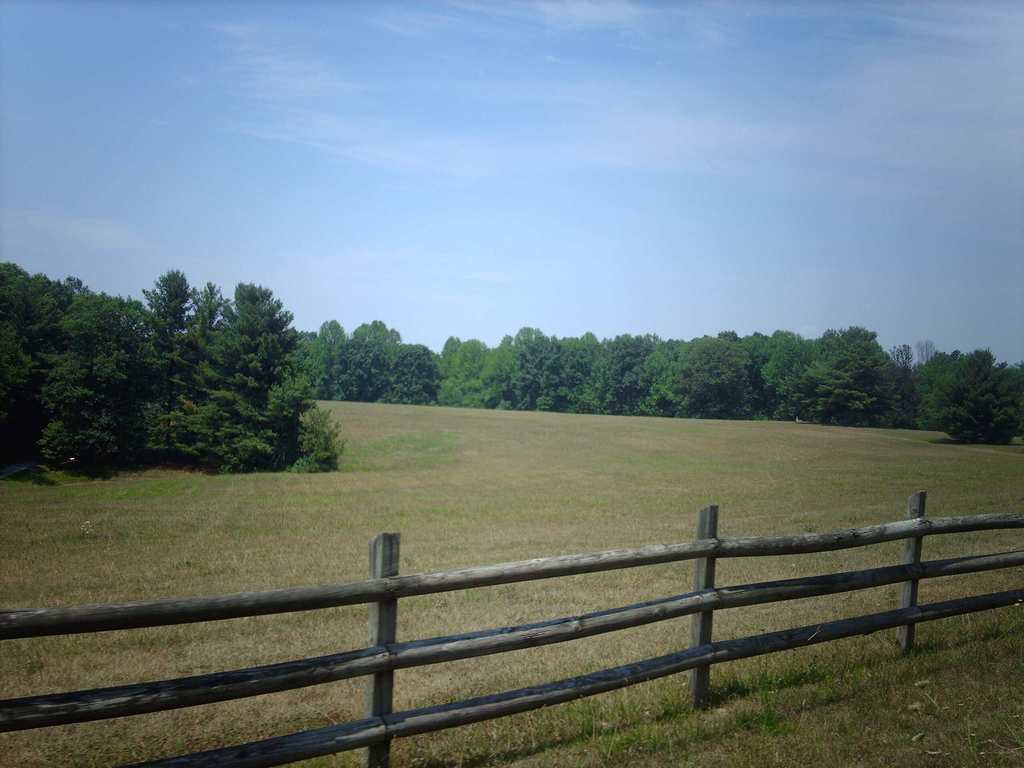 Ashland City, TN: I've loved this plot of land since I was a child, and now my own children love to drive by it. We always say it would be the perfect spot to "plant" a little house, nestled back in the trees. This picture was taken in June 2007 on Bear Wallow "Bear Waller" Rd.