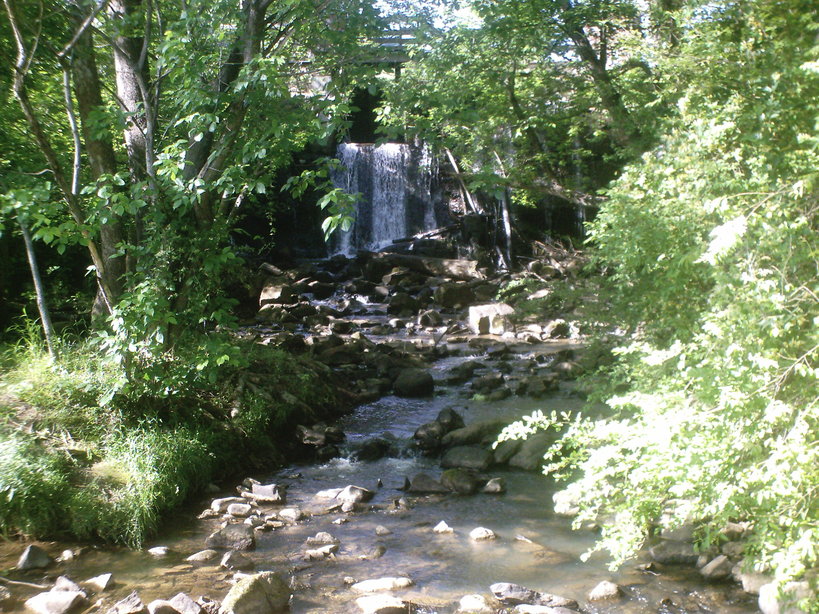 Eden, NC: Hidden Waterfall