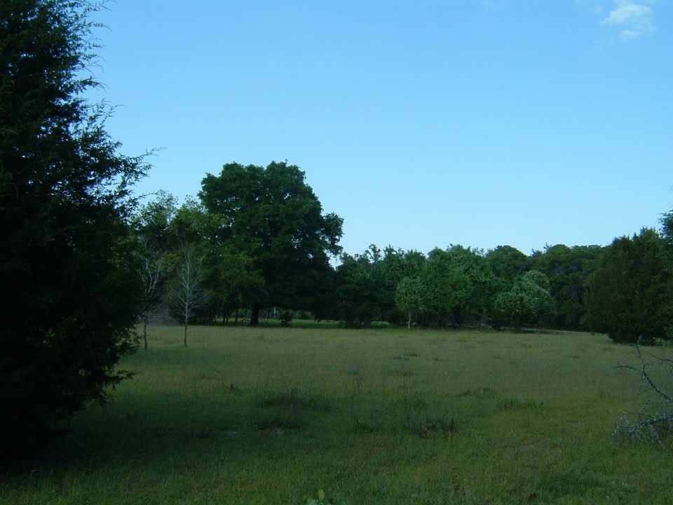 Streetman, TX Beautiful Countryside near Streetman photo, picture