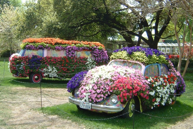 Dallas, TX : Flower-Power at Dallas Arboretum photo, picture, image ...