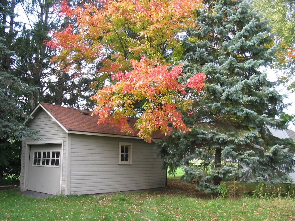 Poynette, WI: Autumn leaves over shed