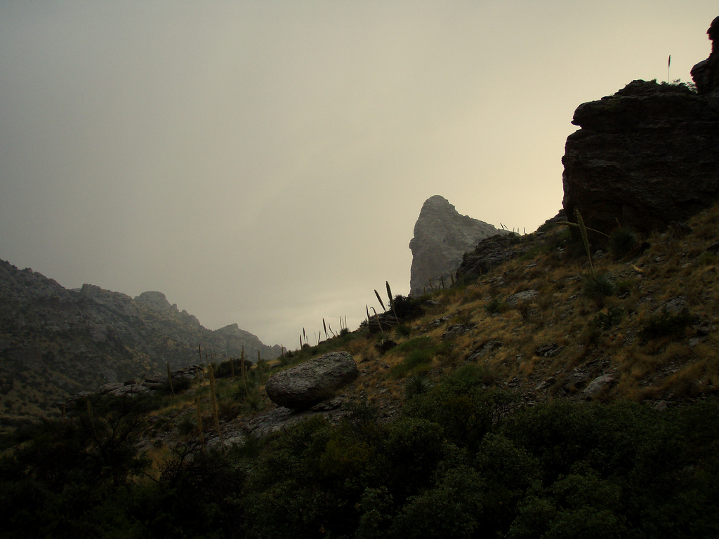 Deming, NM: Deming New Mexico Rain