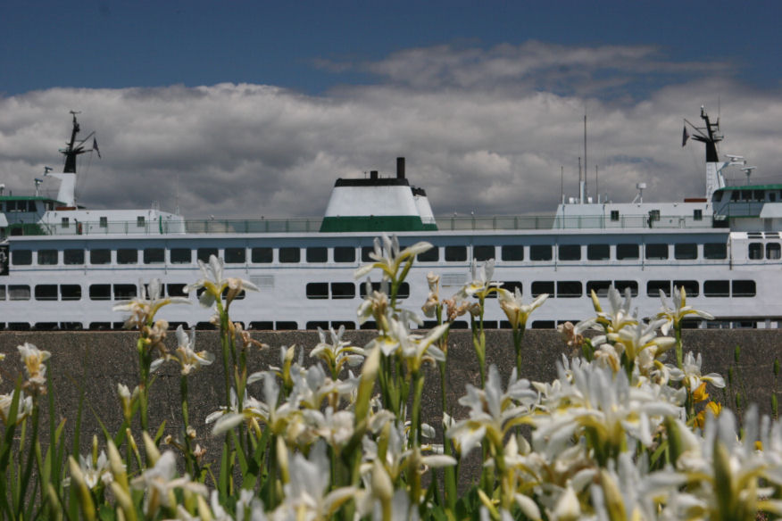 Seattle, WA: WASHINGTON STATE FERRY