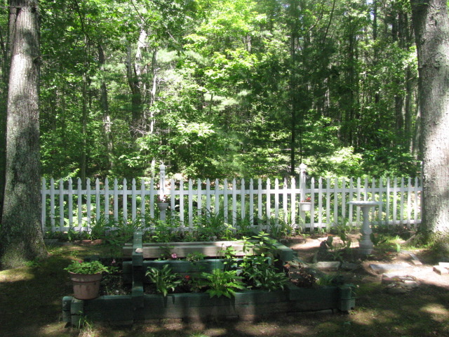 Exeter, NH: My Aunt Pat's back yard in Sherwood Forest, Exeter, NH