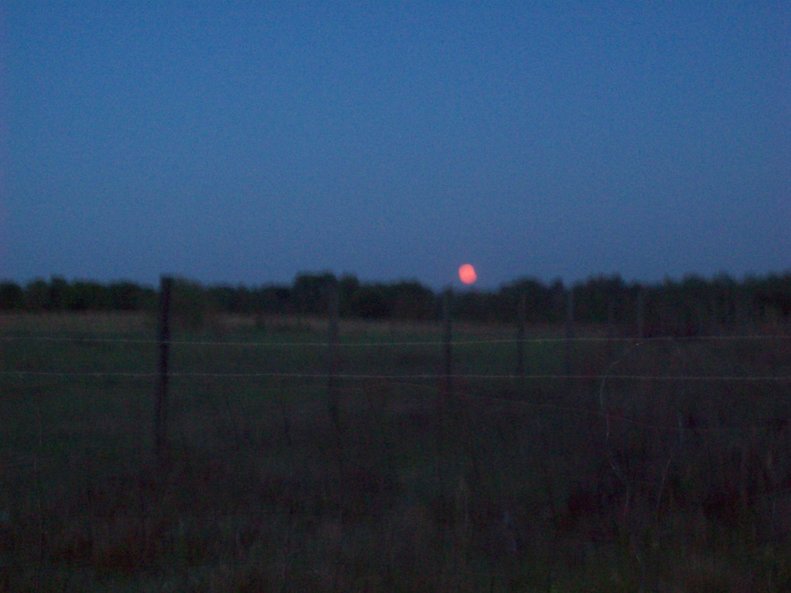 Dalzell, SC: sunrise on Hugh Ryan Road