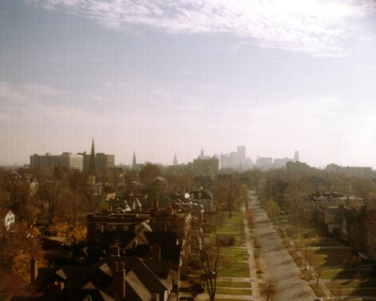 Buffalo, NY: Buffalo N.Y neighborhood with skyline in background