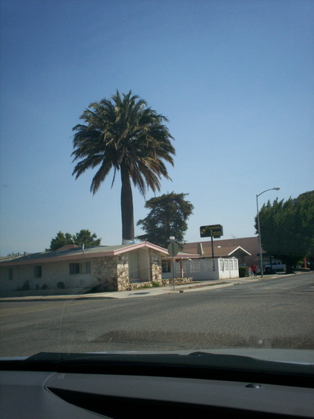 King City, CA: This is a tree...with a house wrapped around it in King City.