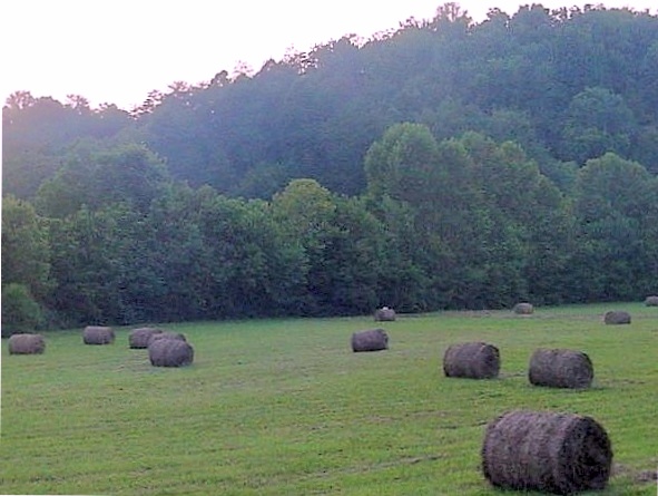 Tellico Plains, TN: Hay bales harvested for winter months to come taken in Monroe County-seen taken on a motorcycle ride.