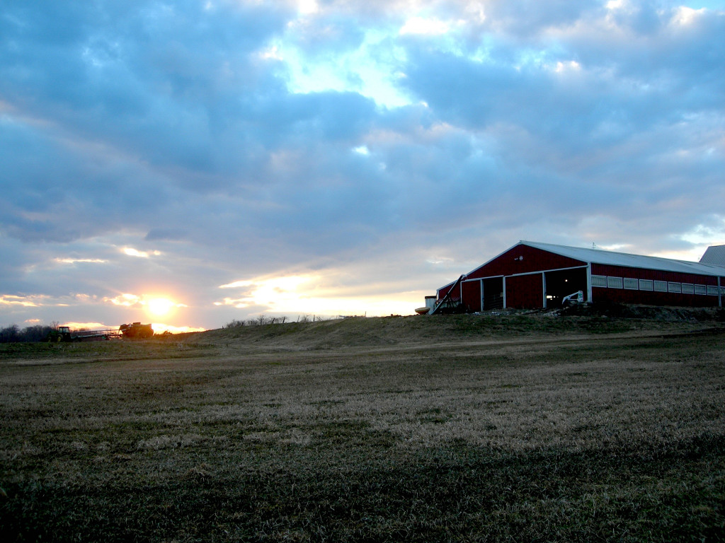 Coventry, CT: Coventry Farm