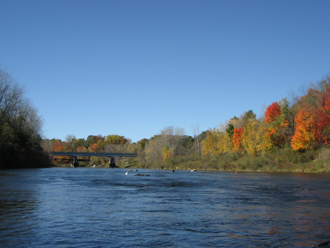 Newaygo, MI: Muskegon River in the Fall