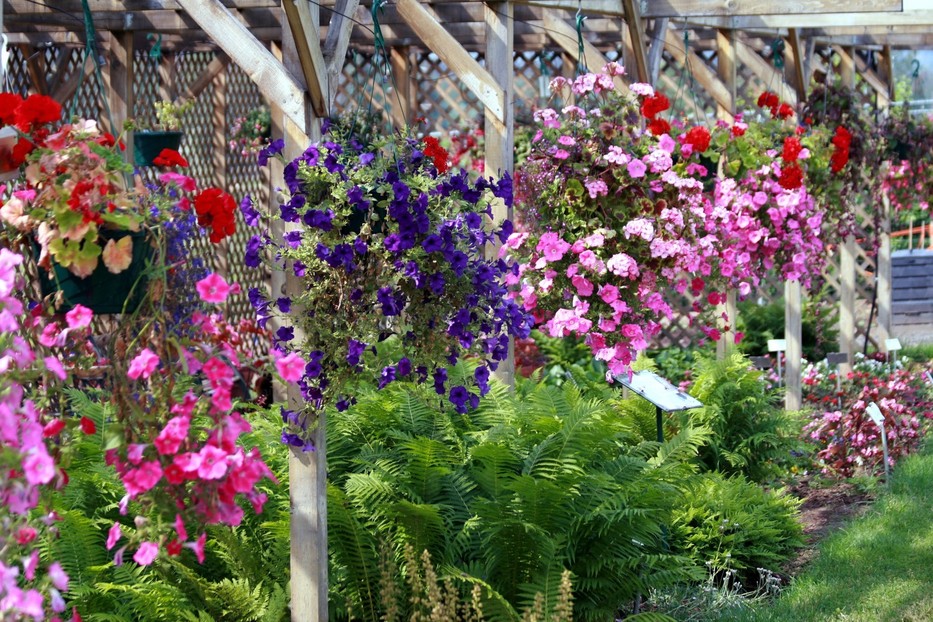 Fairbanks, AK : UAF Botanical Garden photo, picture, image (Alaska) at ...