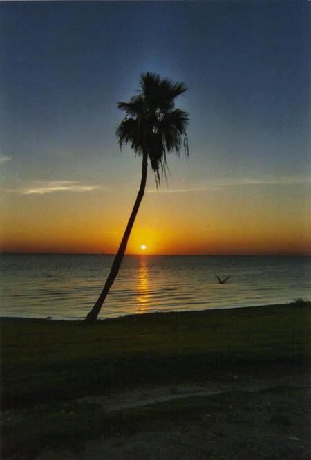 Corpus Christi, TX: Sunrise over Corpus Christi Bay - taken at Cole Park
