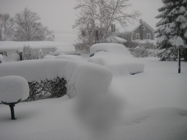 Oswego, NY: My Back Yard