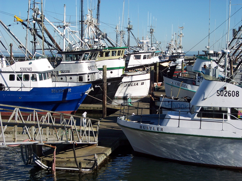 Westport, WA Fishing boats at rest in Westport Marina photo, picture