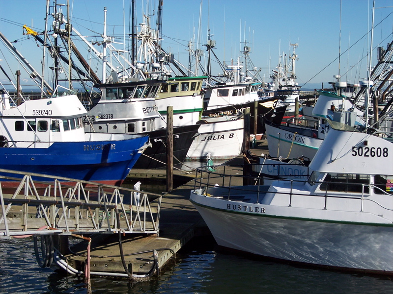 Westport, WA: Fishing boats at rest in Westport Marina