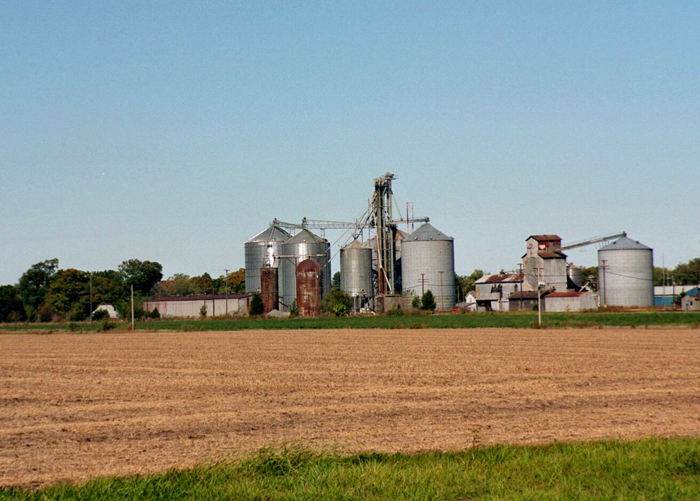 Williamsfield, IL: The Williamsfield economy