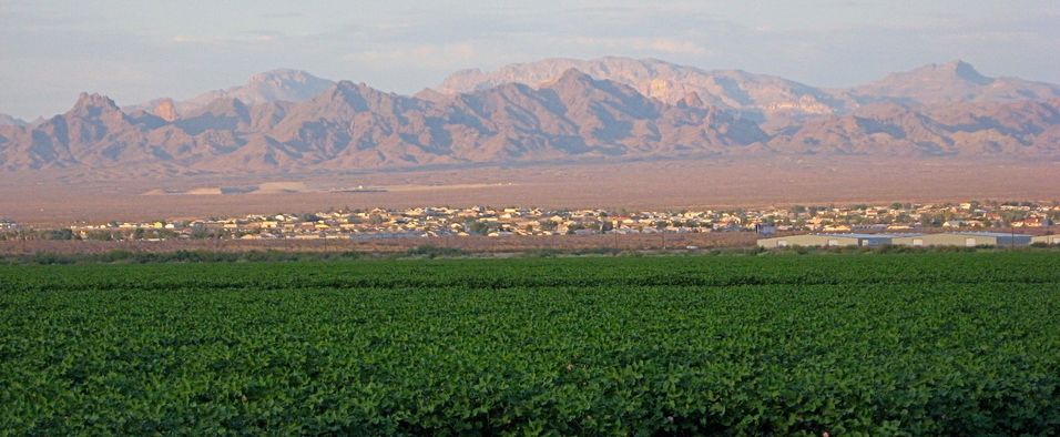 Mohave Valley, AZ: Desert Calm