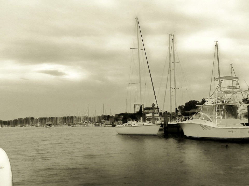 Deale, MD: Harbor Cove Marina