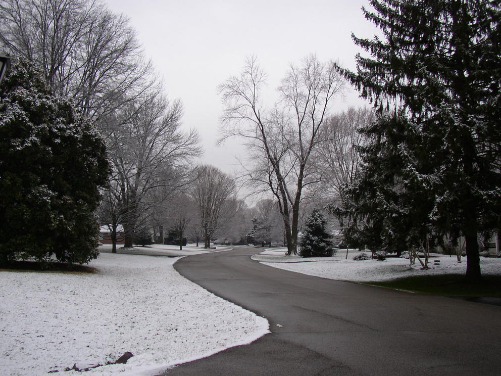 Bellemeade, KY: Belle Meade Blvd. looking south from Woodcleft Road. winter 2007