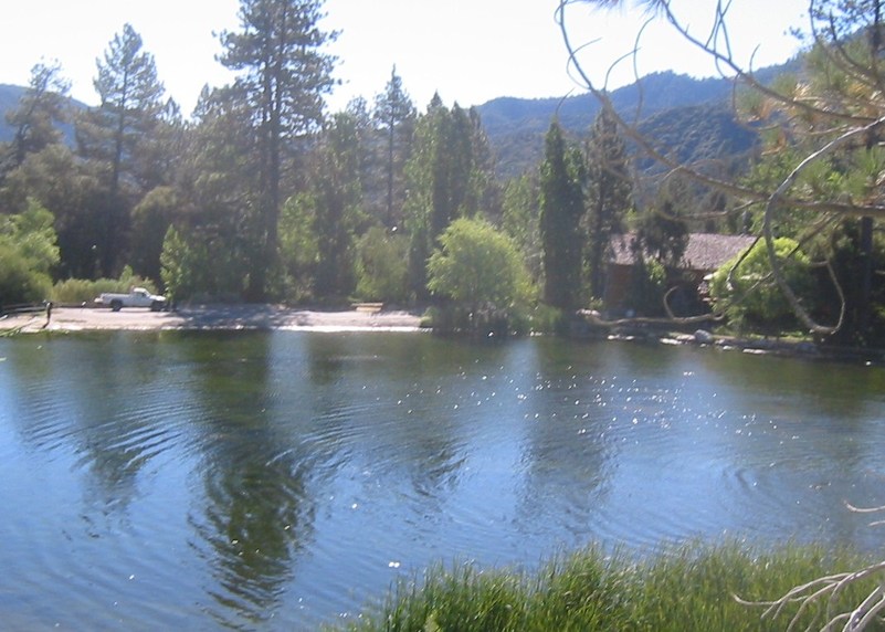 Pine Mountain Club, CA: The Pond