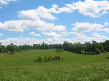 Lexington-Fayette, KY: Kentucky horse farm near Lexington Kentucky