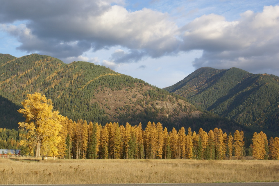 Thompson Falls, MT Thompson Falls, MT Autumn Scene photo, picture
