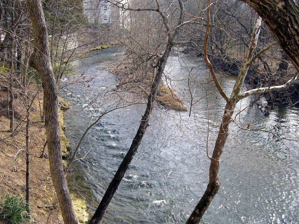 Pigeon Forge, TN: Little Pigeon River