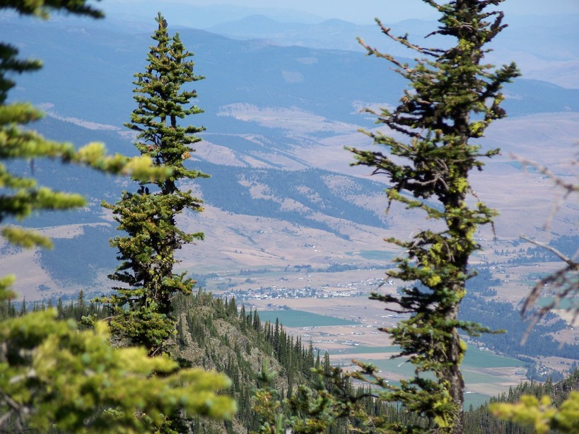Arlee, MT Arlee photo, picture, image (Montana) at