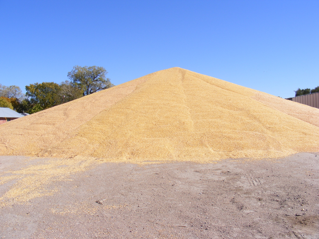 Wauneta, NE: Pile of corn in Wauneta