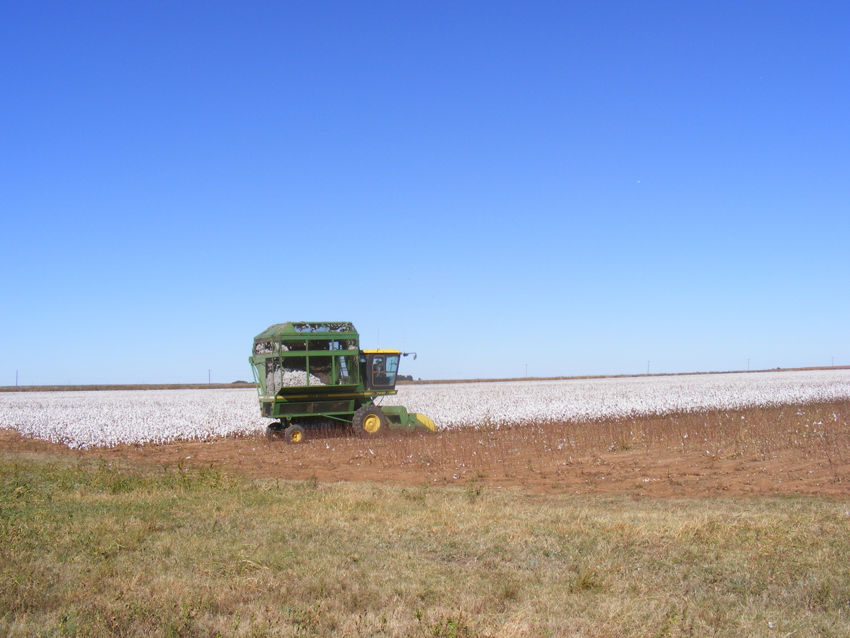 Childress, TX: Cotton picker