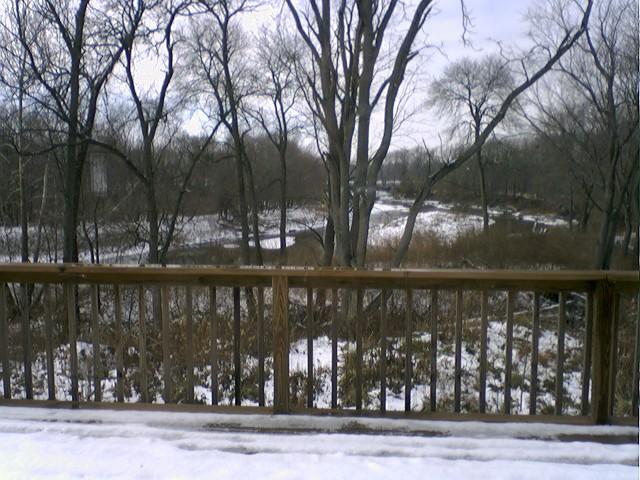 Riverton, IL: Backyard in winter