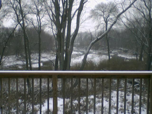Riverton, IL: Dad's Backyard in winter