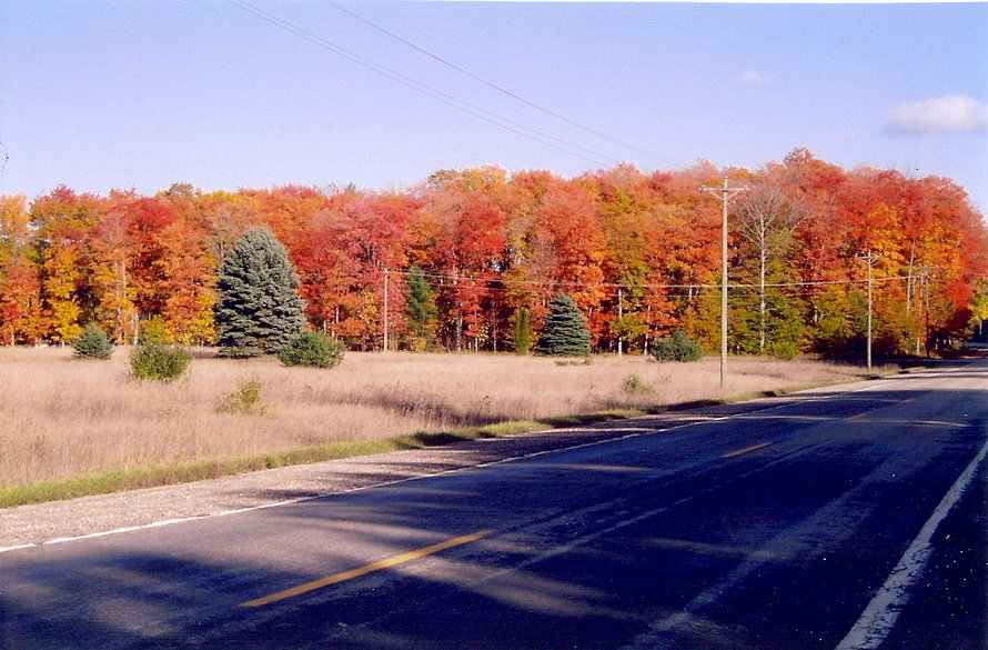 Boyne City, MI: Boyne City Charlevoix Road in October