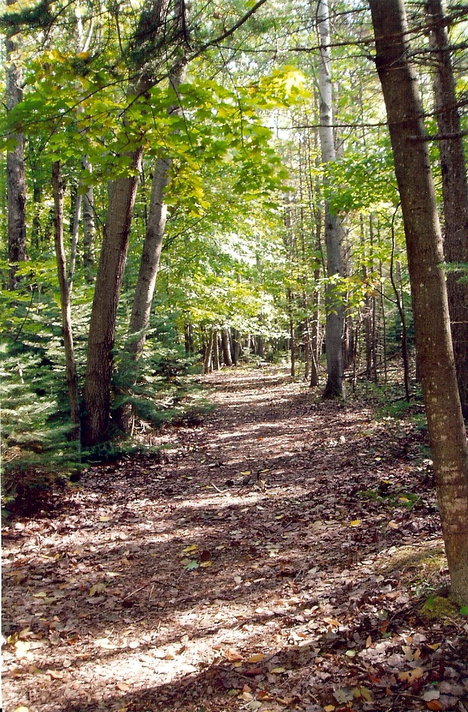 East Jordan, MI: Trail