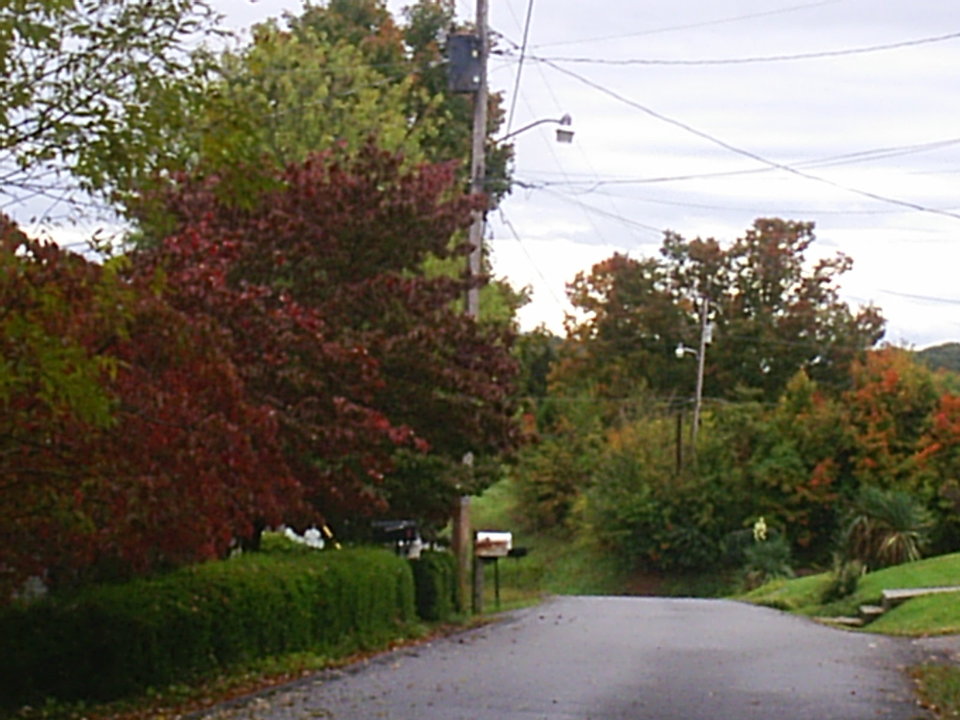 White Pine, TN some street of White Pine photo, picture, image (Tennessee) at