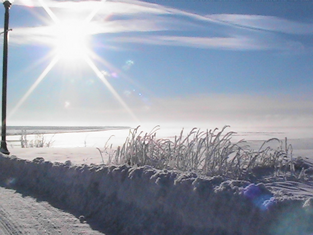 Kenai, AK: kenai beach from bluff above the beach