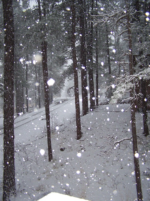 Ruidoso, NM: Snow in Ruidoso March 30, 2007