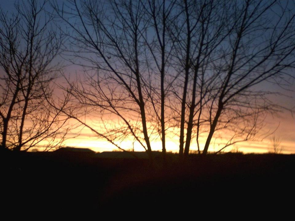 Pueblo West, CO: Sunrise out my front door