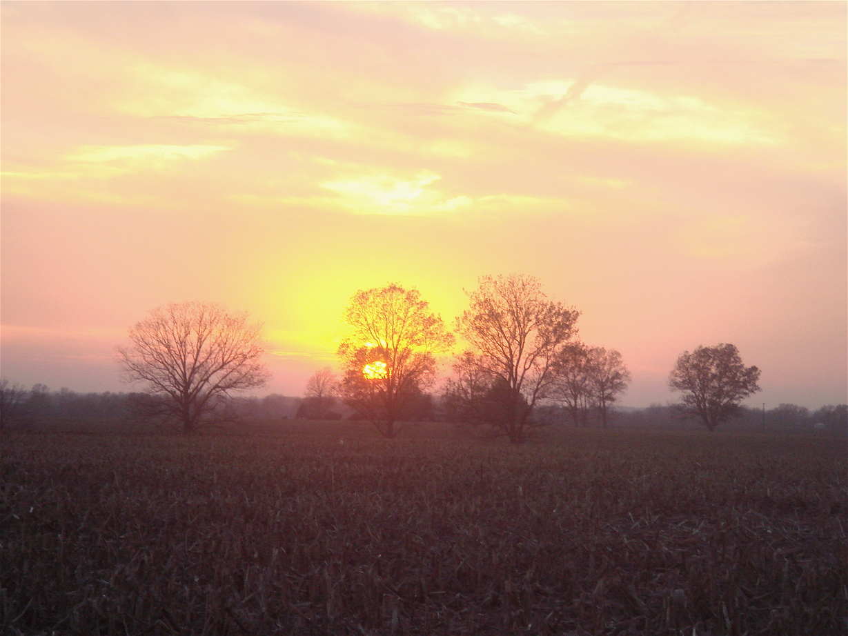 Winchester, IL: A delightful fall sunset