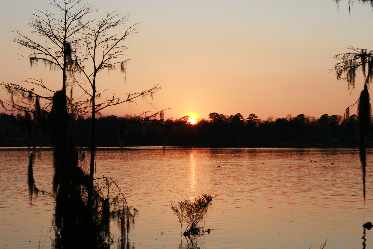 Florala, AL: Sunset at beautiful Lake Jackson
