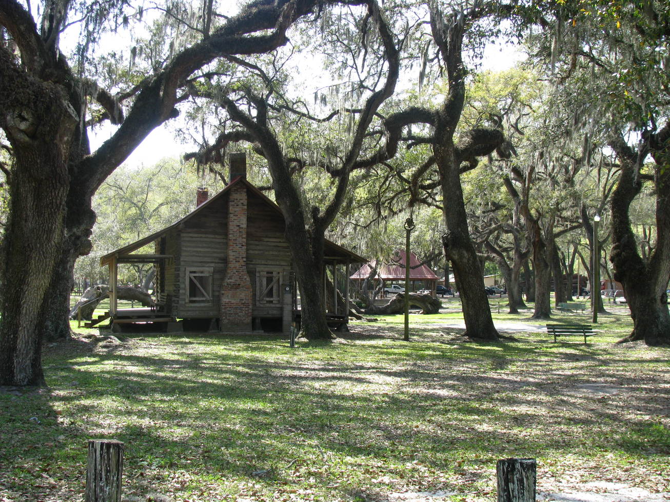 Mayo, FL: Old cabin in Mayo town park with an array of beautiful figured trees.